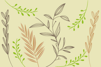 présentation micronutrition & naturopathie